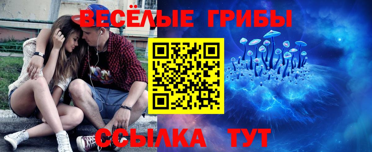 Уварово  Галлюциногенные грибы Psilocybe  Вход с VPN 